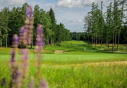 Lübker Golf Resort