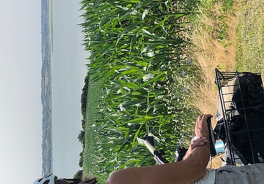 Hjarbæk Fjord Golf Center