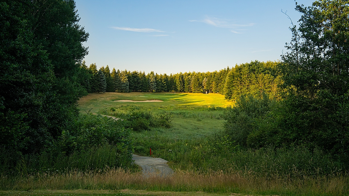 Langesø Golf - Danmarks Skjulte Golfperle