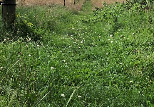 Hjarbæk Fjord Golf Center