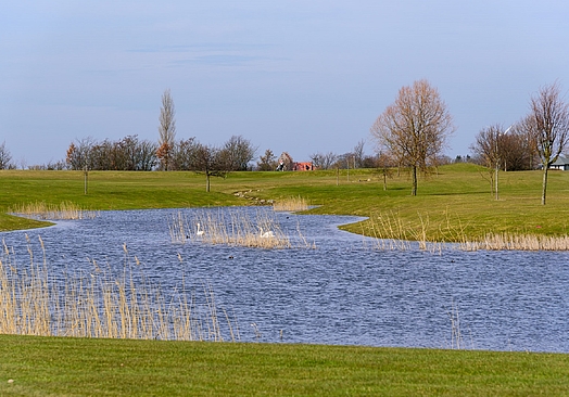 Møn Golf Resort