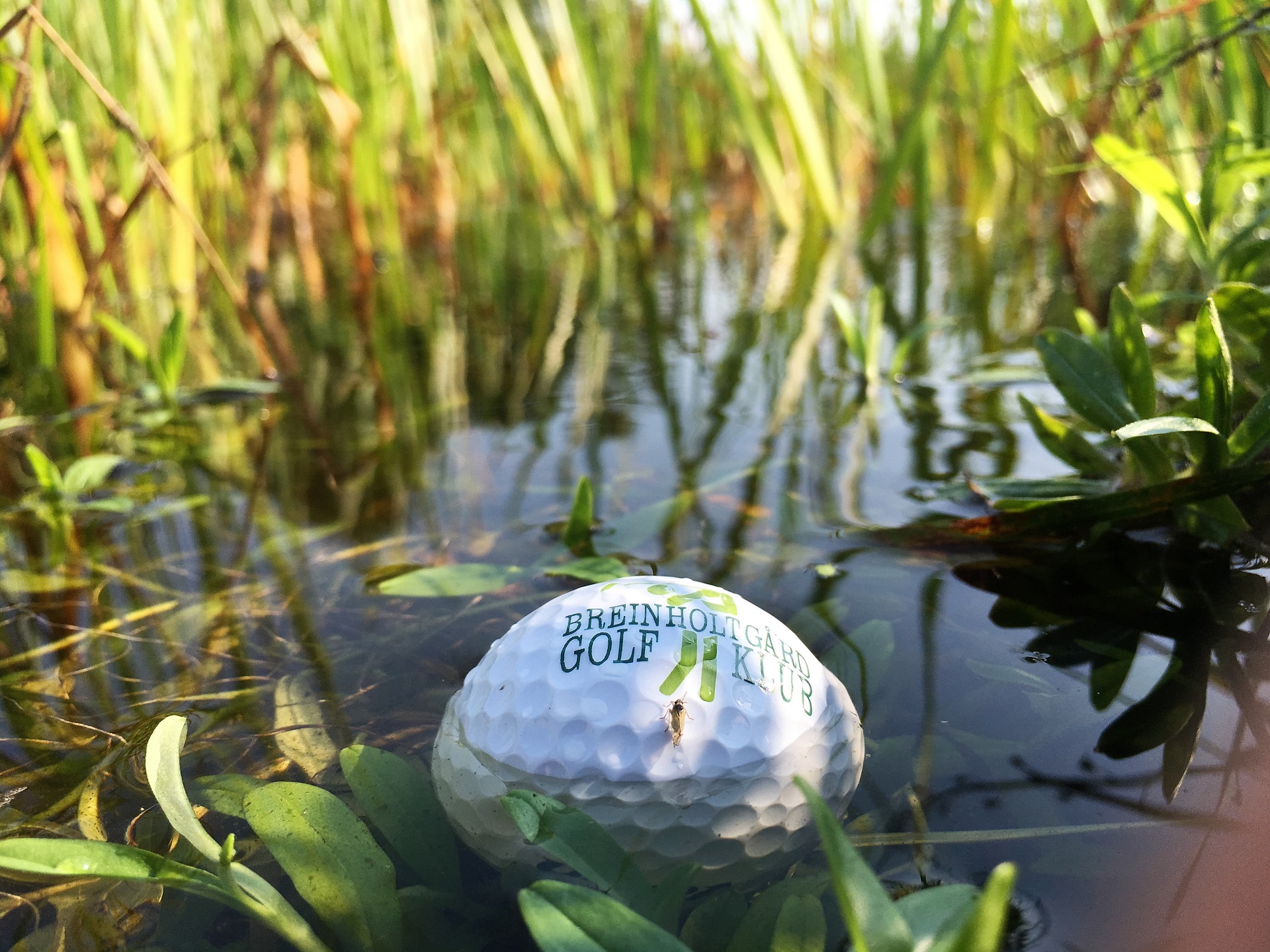 Sætte Person med ansvar for sportsspil Utilgængelig Breinholtgård Golf Klub