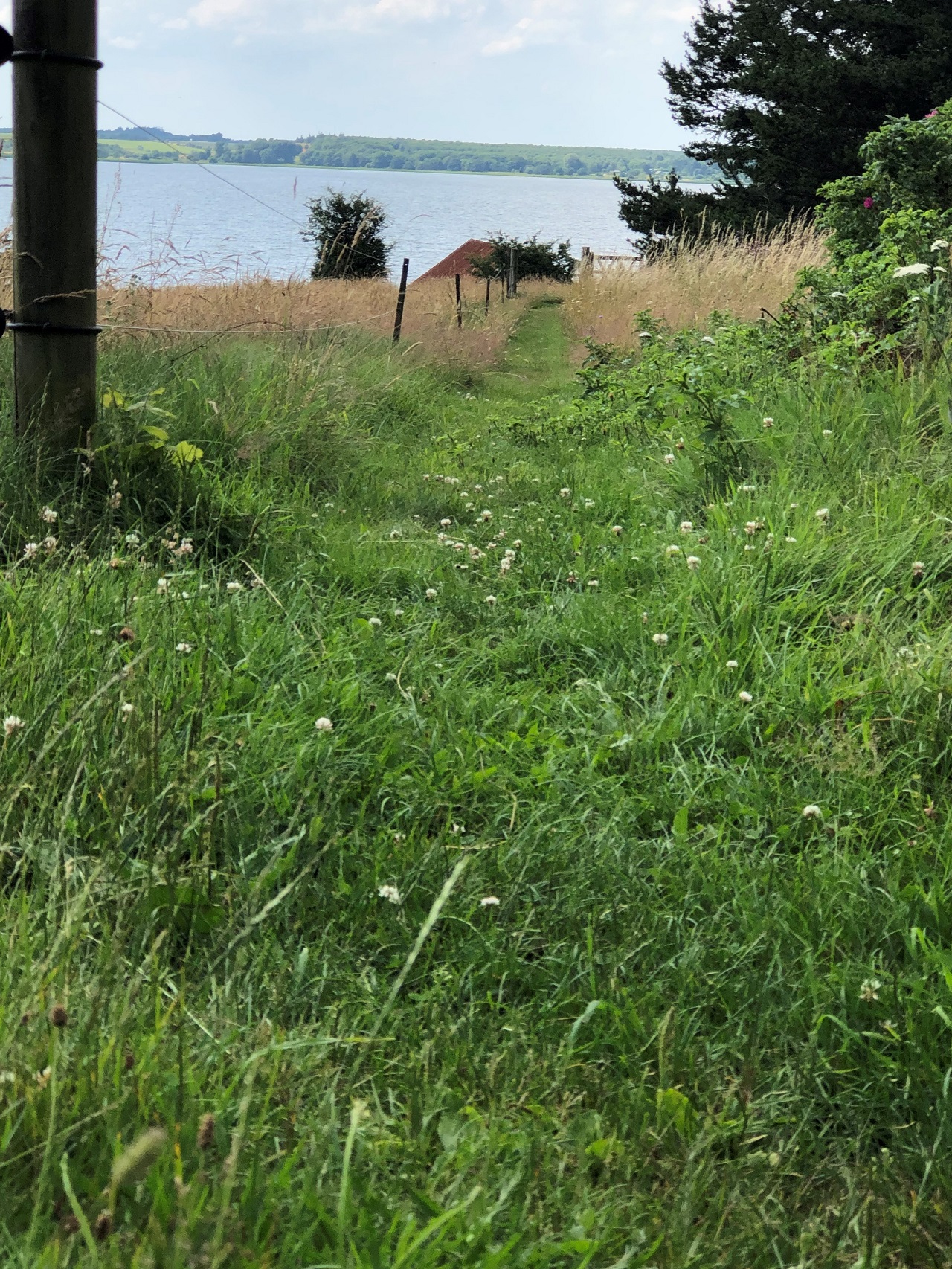 Hjarbæk Fjord Golf Center