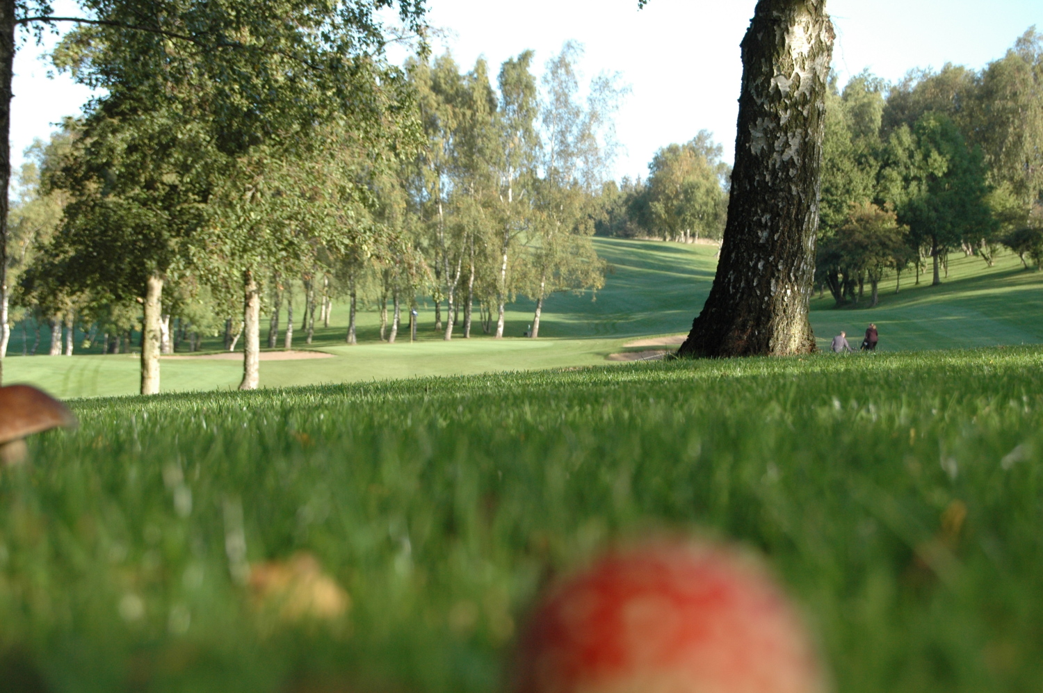 Svendborg Golf Klub