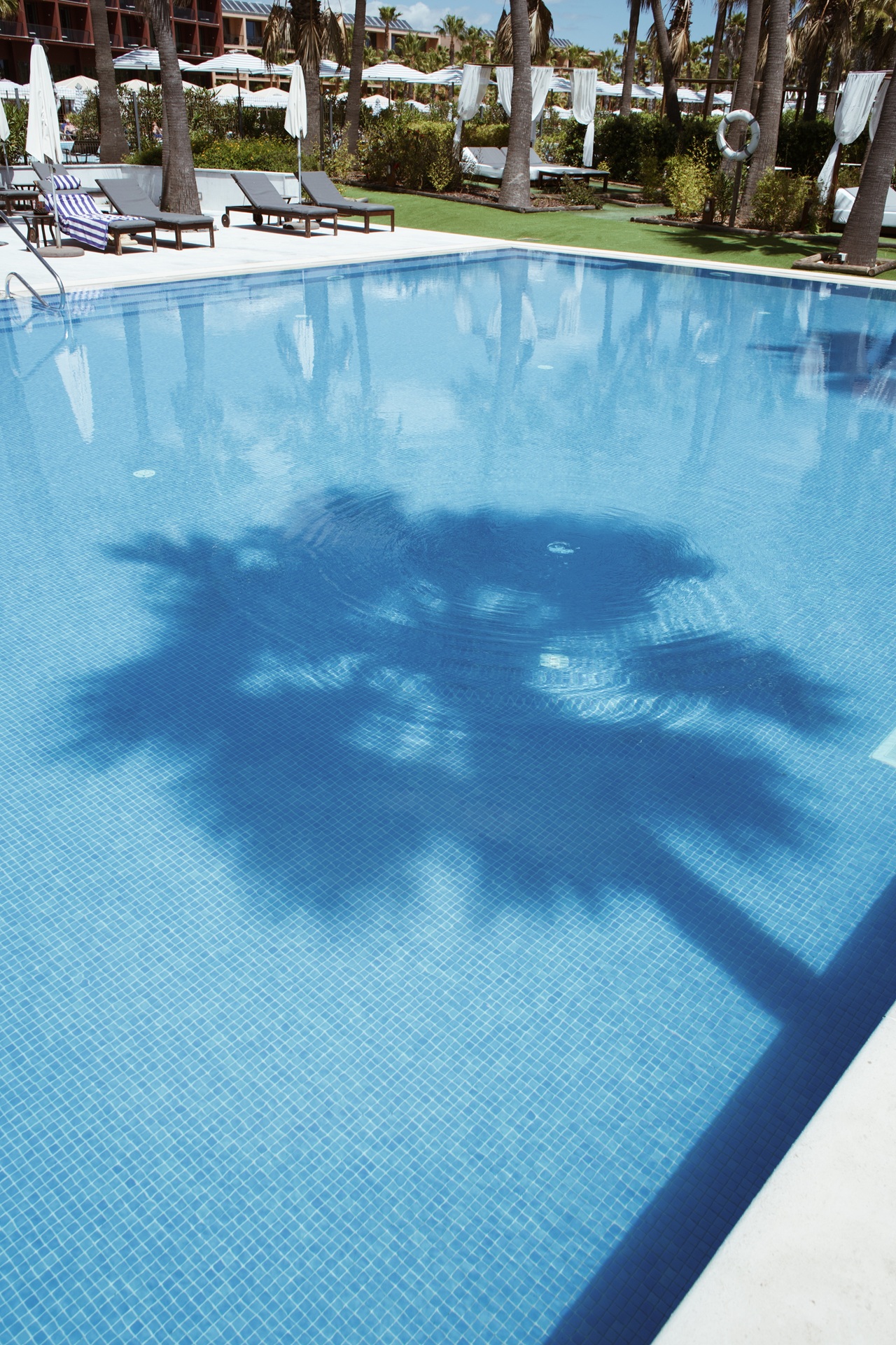 Wine & Books by the Sea